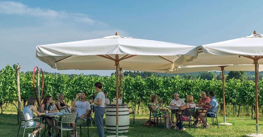 Lake Garda: Wine and Food Tastings in the Vineyards - Key points at a glance