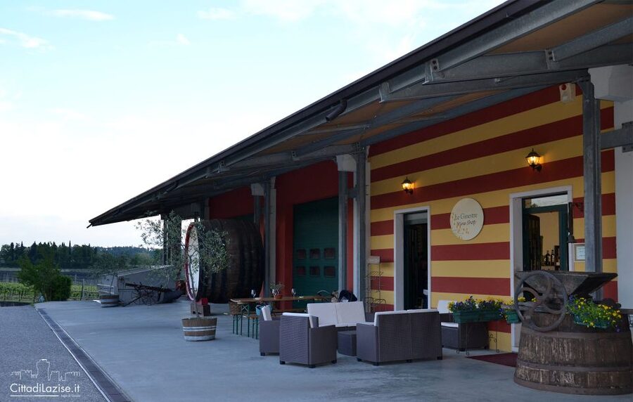 Lake Garda: Wine and Food Tastings in the Vineyards - Should you book this Lake Garda wine tasting?