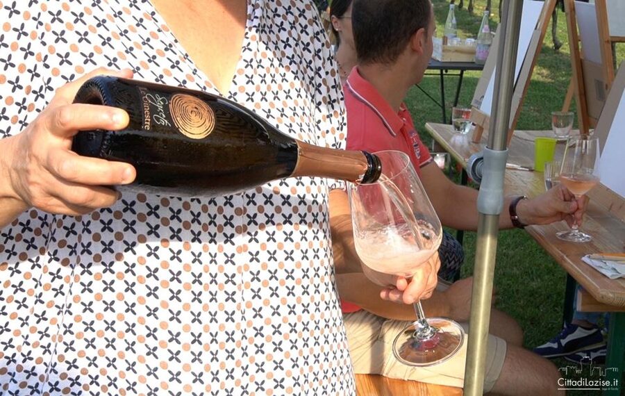 Lake Garda: Wine and Food Tastings in the Vineyards - Verona salami, cheeses, bread, and olive oil