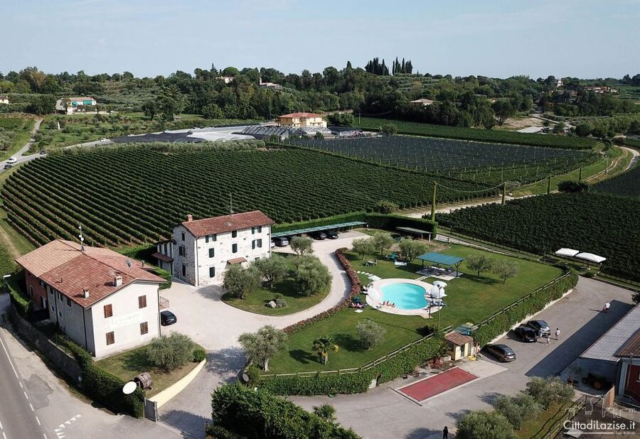 Lake Garda: Wine and Food Tastings in the Vineyards - What is not included, and why it matters