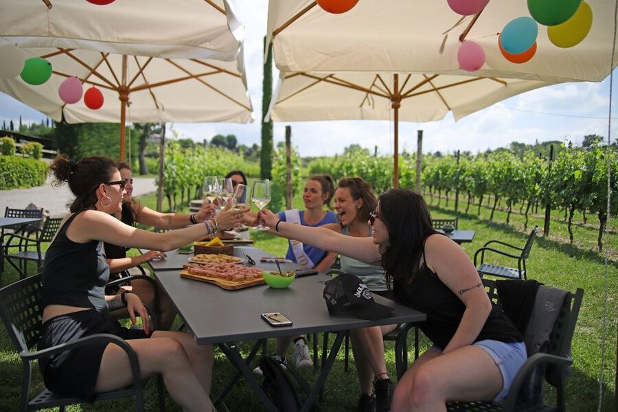 Lake Garda: Wine and Food Tastings in the Vineyards - Is $50 a fair price?