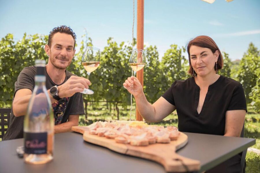 Lake Garda: Wine and Food Tastings in the Vineyards - Weather, timing, and practical comfort
