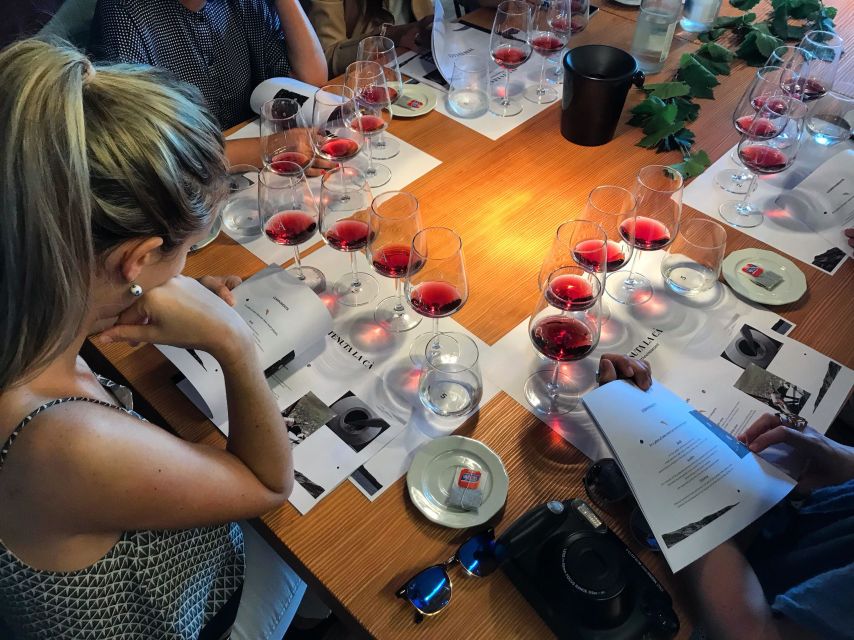 Lake Garda: Wine Tour and Tasting Experience in Bardolino - Tasting two reds and two whites
