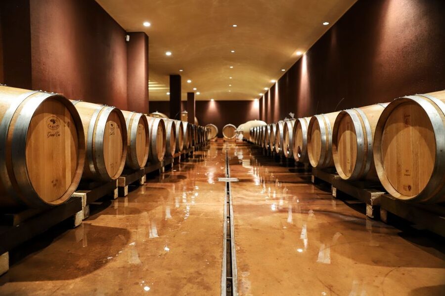 Lake Garda: Wine Tour and Tasting Experience in Bardolino - The winery visit, from harvest to bottling