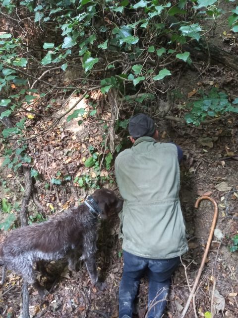Langhe: Truffle Hunting Experience - What makes this Langhe outing worth your time