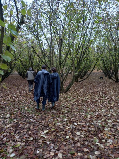 Langhe: Truffle Hunting Experience - Who should book this experience