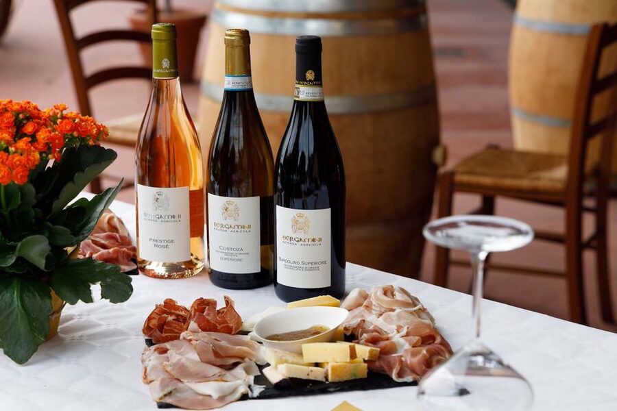Lazise: Winery Tour with Garda Wines and Food Tasting - A Working Winery Near Lazise