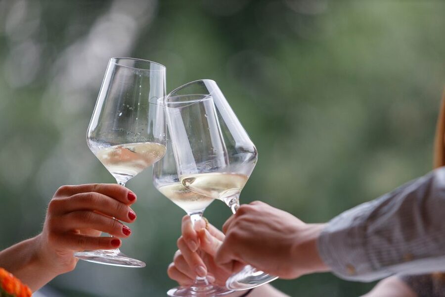 Lazise: Winery Tour with Garda Wines and Food Tasting - Tasting Bardolino, Chiaretto, and Custoza