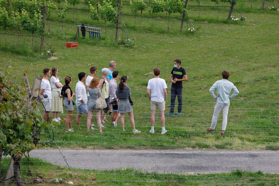 Lazise: Winery Tour with Garda Wines and Food Tasting - Guides, Languages, and the Feel of the Visit
