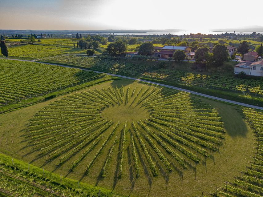Lazise: Winery Tour with Garda Wines and Food Tasting - Access, Timing, and Practical Details