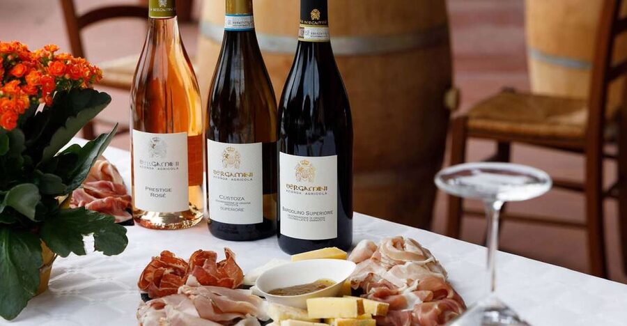 Lazise: Winery Tour with Garda Wines and Food Tasting - Seeing Fermentation and Aging in the Cellar