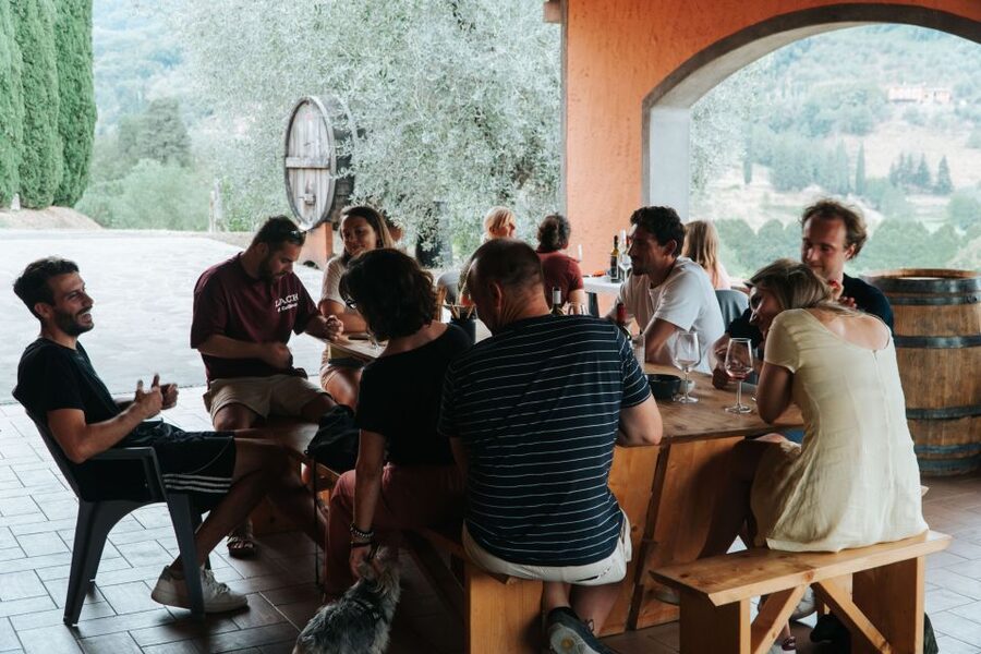 Lucca: Guided Winery Tour with Wine Tasting - The 20-minute cellar walk