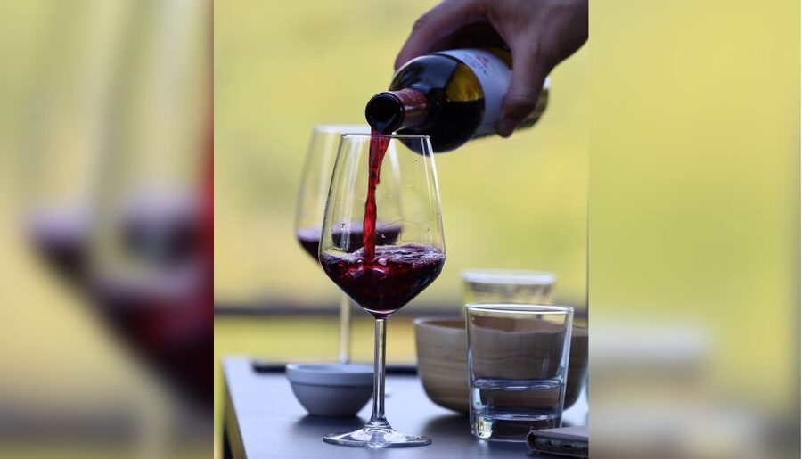 Lucca: Guided Winery Tour with Wine Tasting - Finding Tenuta Adamo from Lucca