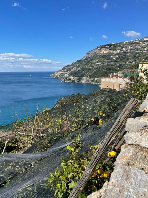 Maiori: Amalfi Coast Path of Lemons Day Trip with Tastings - Climbing through Torre and the old lemon route