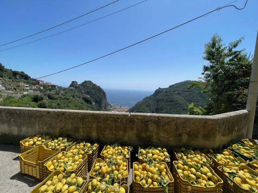 Maiori: Amalfi Coast Path of Lemons Day Trip with Tastings - The Belvedere Mortella viewpoint