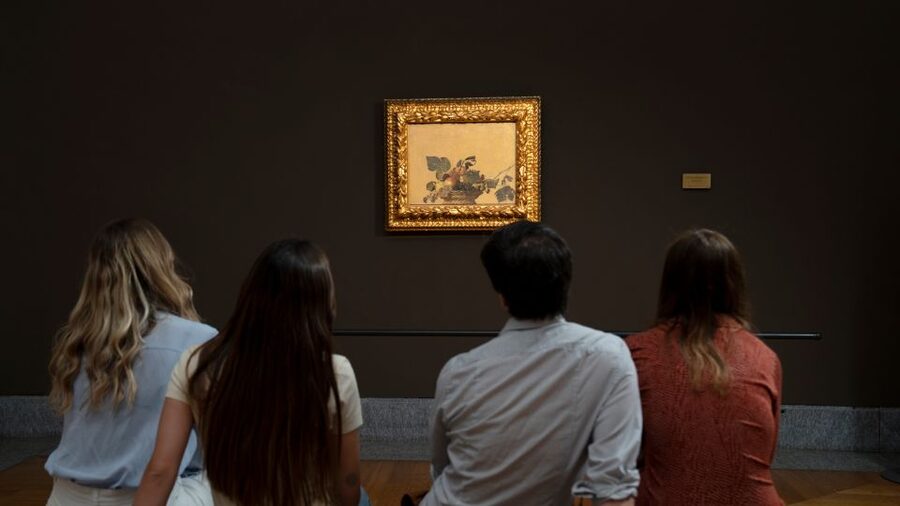 Milan: Pinacoteca Ambrosiana and San Sepolcro Crypt Ticket - Why the Ambrosiana is worth your Milan afternoon