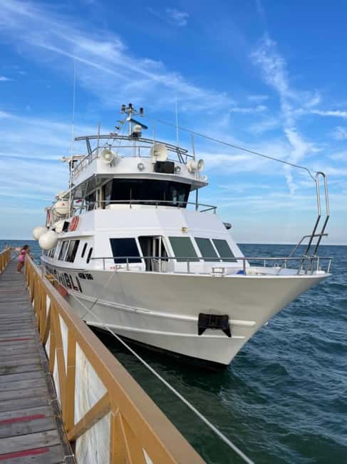 Milano Marittima: Riviera Romagnola Half-Day Boat Tour - What this Adriatic boat trip is really about