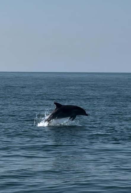 Milano Marittima: Riviera Romagnola Half-Day Boat Tour - Who will enjoy the Ghibli most?