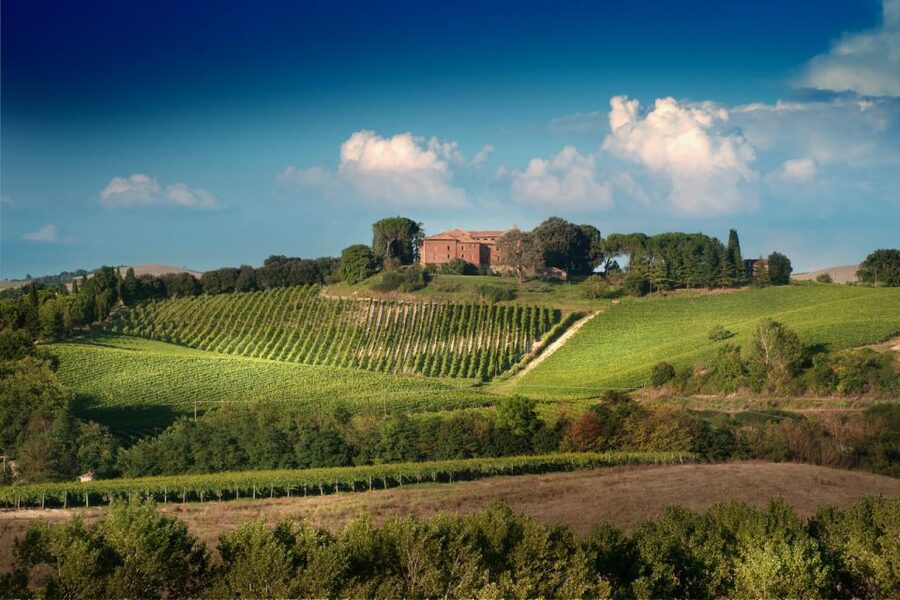 Montalcino: Brunello Wine Tasting & Lunch in a Tuscan Castle - Three wines, with Brunello at the center