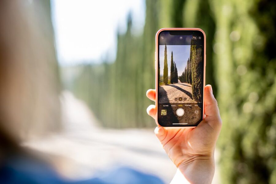 Montalcino: Guided Winery Tour and Wine Tasting - FAQ