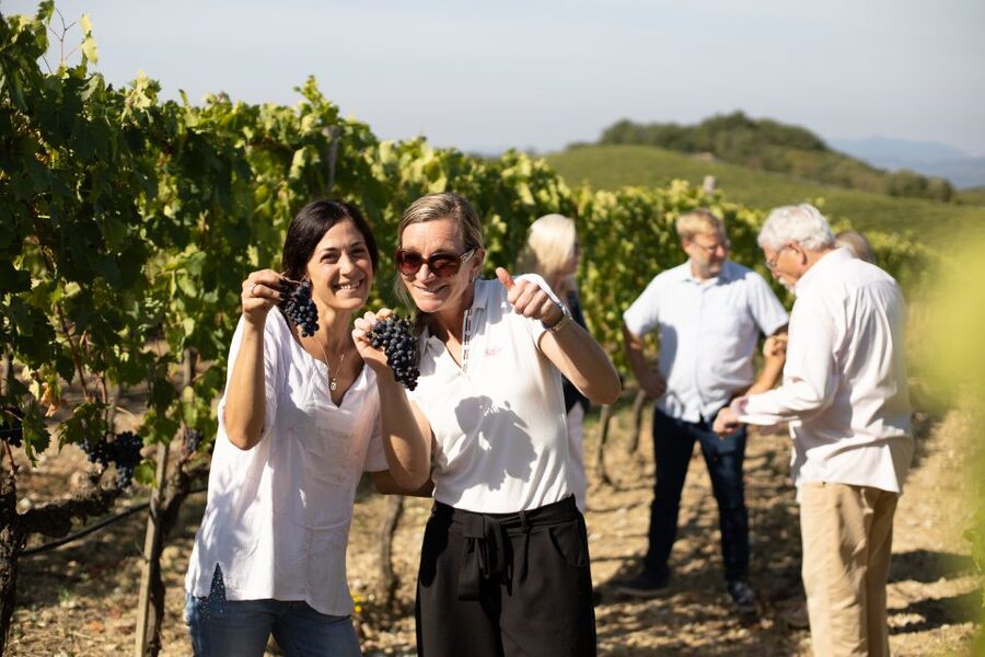 Montalcino: Guided Winery Tour and Wine Tasting - One hour among the vines and winery