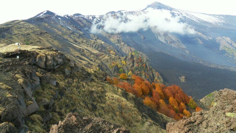 Mount Etna: Half-Day Guided Tour and Hike - Is $70 a fair price?