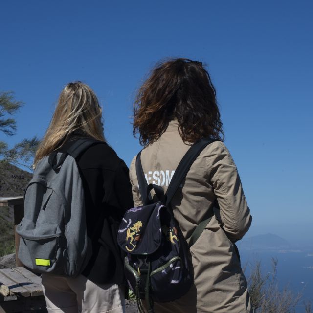 Mount Vesuvius: Skip-the-Line Ticket and Smart Digital Guide - The timed entrance and starting points