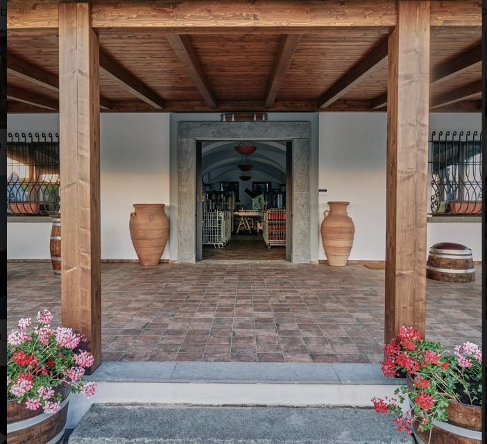 Mount Vesuvius: Vineyard Tour with Wine Tasting and Lunch - Lacryma Christi, from white to red