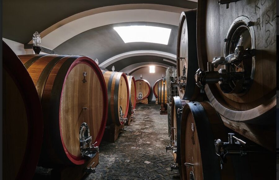 Mount Vesuvius: Vineyard Tour with Wine Tasting and Lunch - Is $65 good value?
