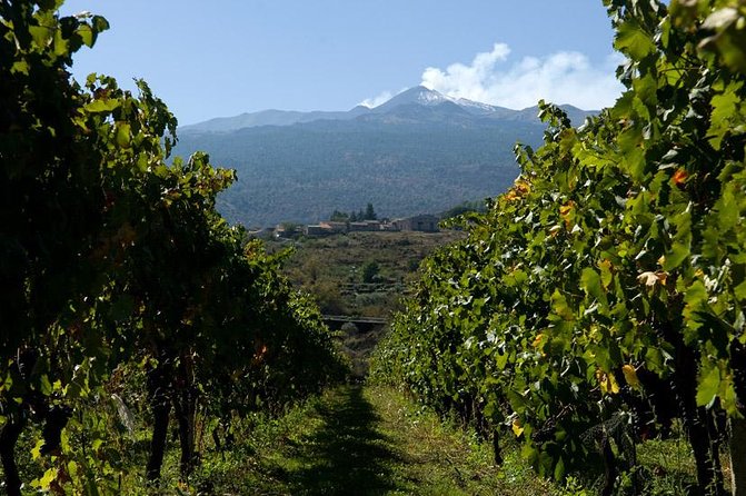 Mt Etna and Wine tasting tour from Catania - Guides and the value of a small group