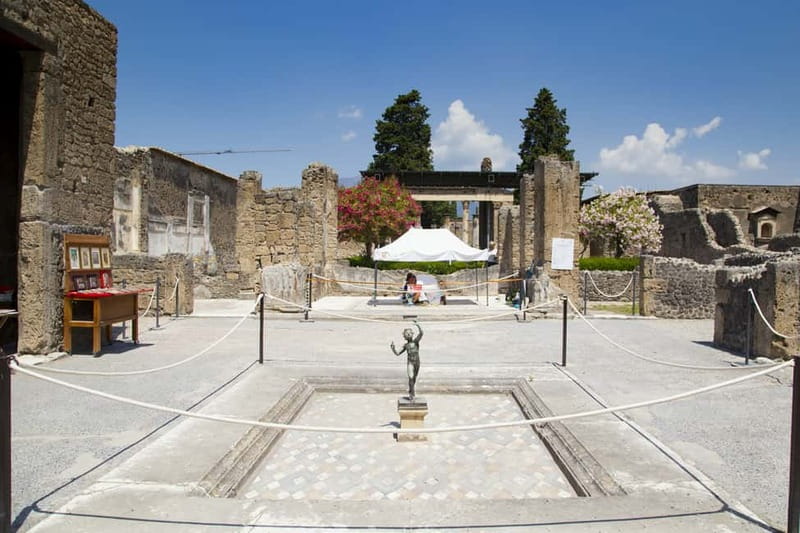 Naples or Sorrento: Full-Day Pompeii and Mount Vesuvius Tour - Key points to know before booking