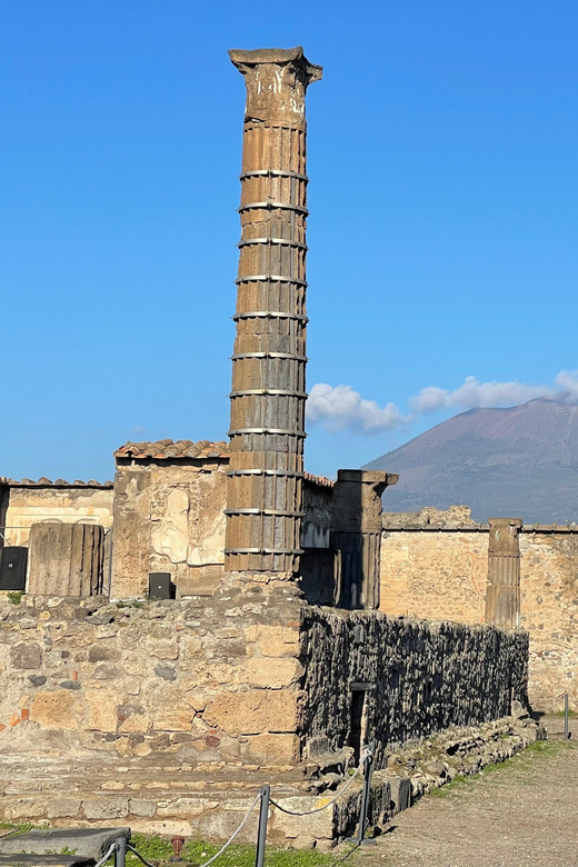 Naples: Pompeii Archaeology Park Tour & Skip-the-Line Entry - Temples, baths, houses, and shops
