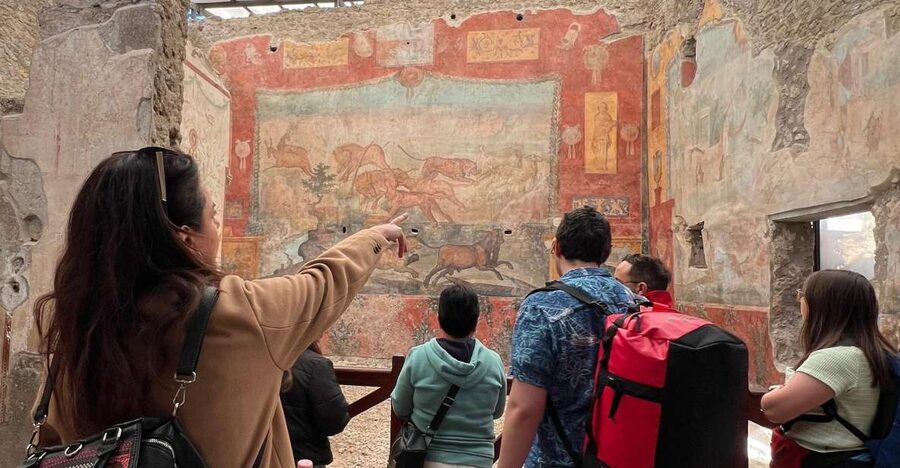 Naples: Pompeii & Mt. Vesuvius Day Trip with Tickets & Lunch - What makes this Pompeii and Vesuvius trip worth considering