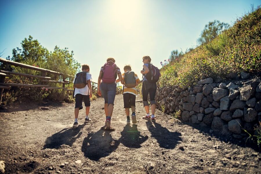 Naples: Pompeii & Mt. Vesuvius Day Trip with Tickets & Lunch - Choosing the crater or Valley of Hell route