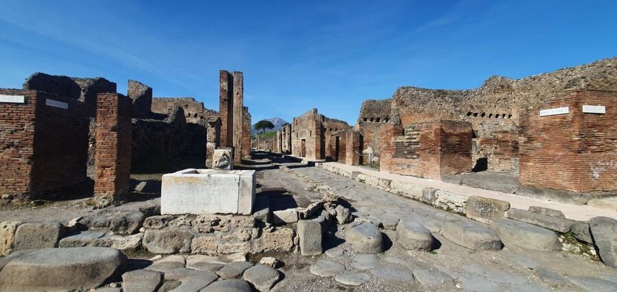 Naples: Pompeii & Mt. Vesuvius Day Trip with Tickets & Lunch - Guides, drivers, and the quality of the day