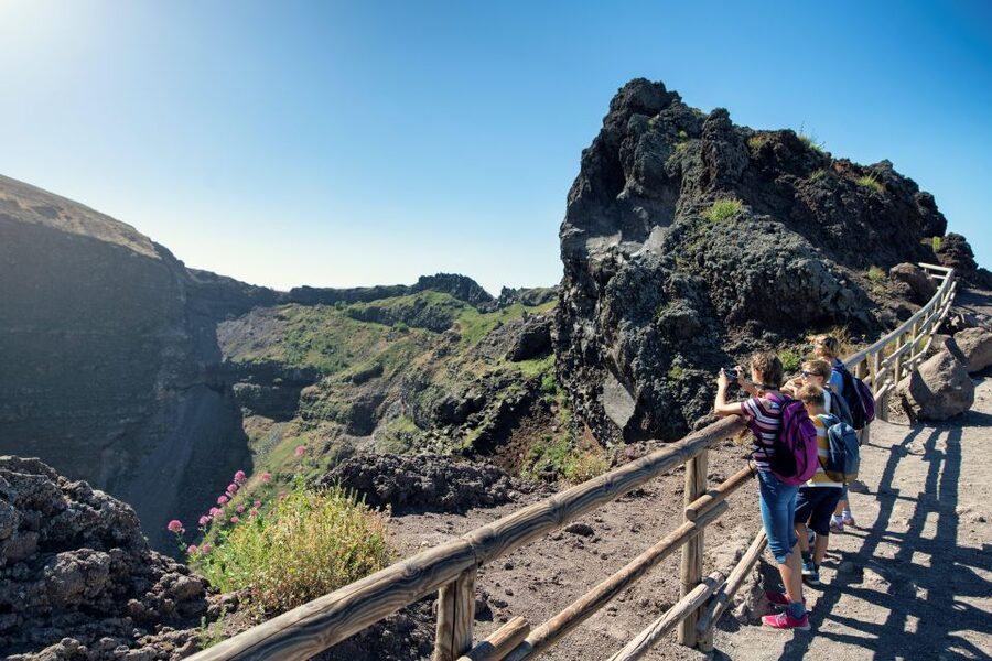 Naples: Pompeii & Mt. Vesuvius Day Trip with Tickets & Lunch - Price and overall value at $126.65