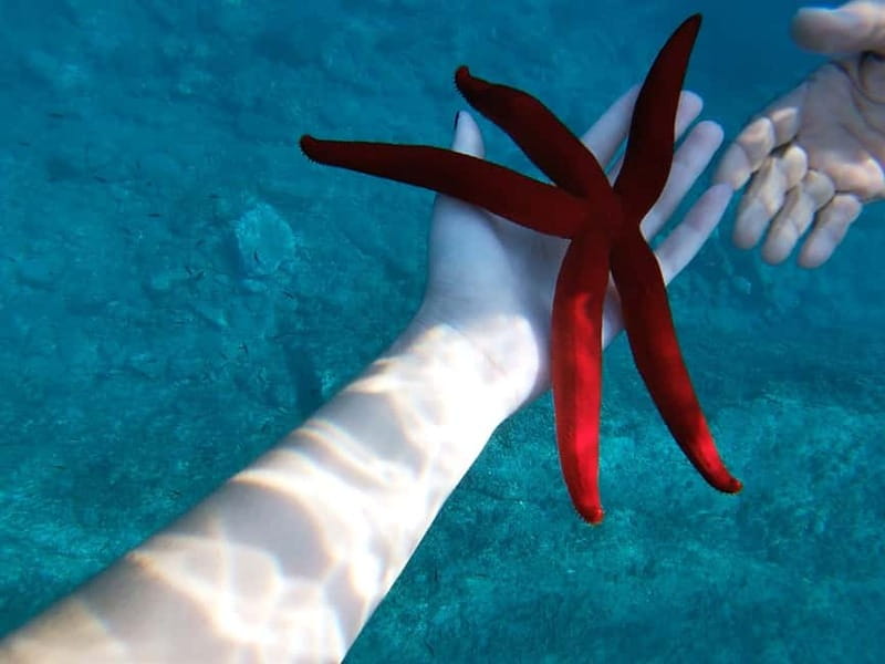 Naxos: Taormina Boat Tour with Snorkeling and Prosecco - The coastal cruise toward Taormina