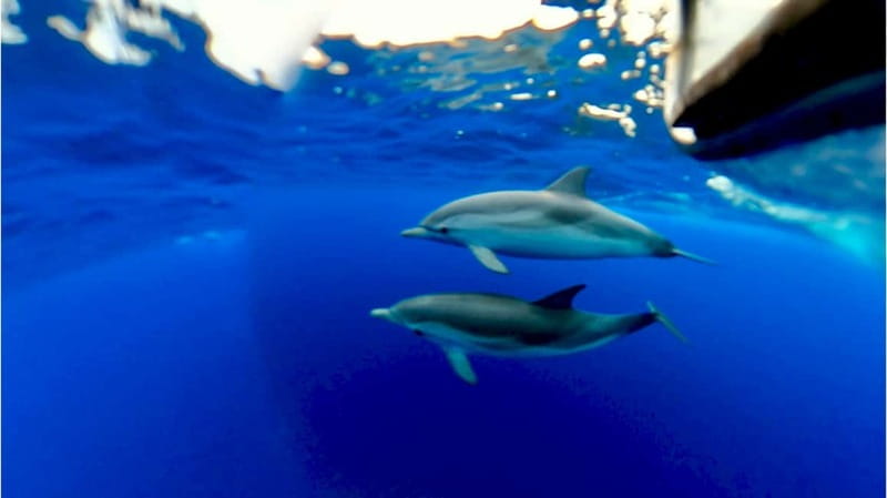 Naxos: Taormina Boat Tour with Snorkeling and Prosecco - Grotta dell’Amore and the first sea caves
