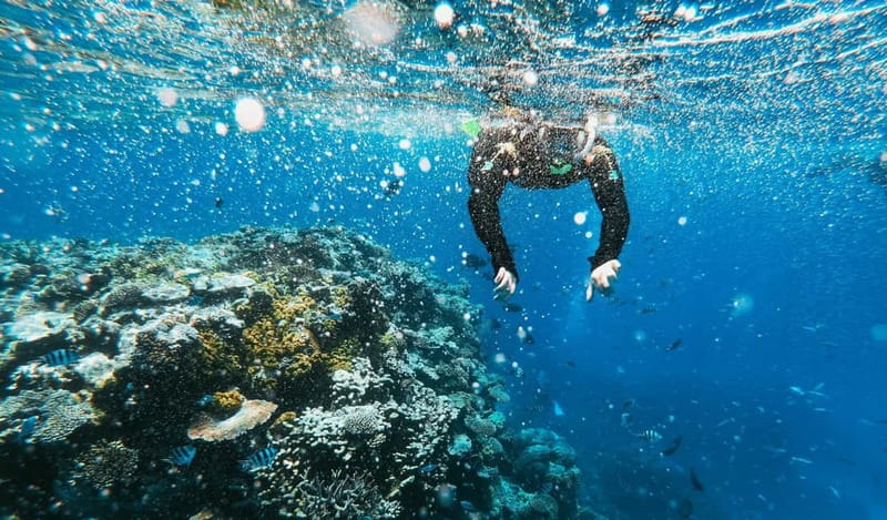 Naxos: Taormina Boat Tour with Snorkeling and Prosecco - Blue Grotto, Baia delle Sirene, and the return route