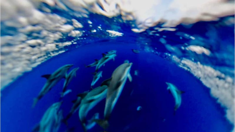 Naxos: Taormina Boat Tour with Snorkeling and Prosecco - Who will enjoy this Taormina boat tour?