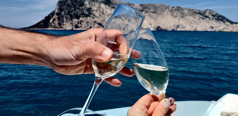 Olbia: Boat tour to watch Dolphins and snorkeling - A 3.5-hour escape from Olbia by boat