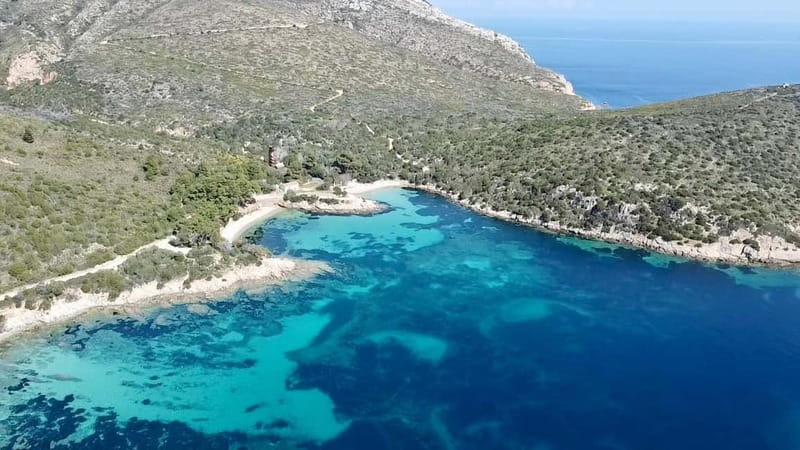 Olbia: Boat tour to watch Dolphins and snorkeling - Is the experience good value?