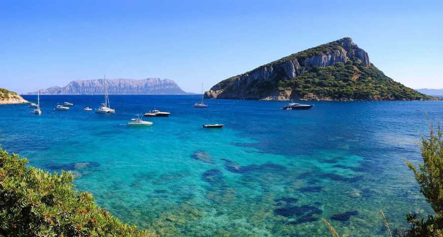Olbia: Dolphin Watching and Snorkeling Boat Tour - How much value you get for $77