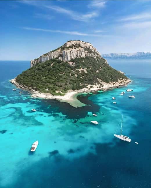 Olbia: Dolphin Watching & Snorkeling Boat Tour near Figarolo - Limestone caves, cliffs, and bird-filled coast