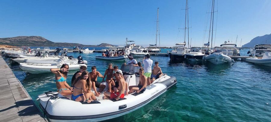Olbia: Dolphin Watching & Swim and snorkel in Capo Figari - What the captain and guide add