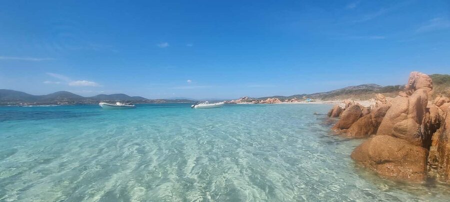 Olbia: Dolphin Watching & Swim and snorkel in Capo Figari - Who will enjoy this boat trip most