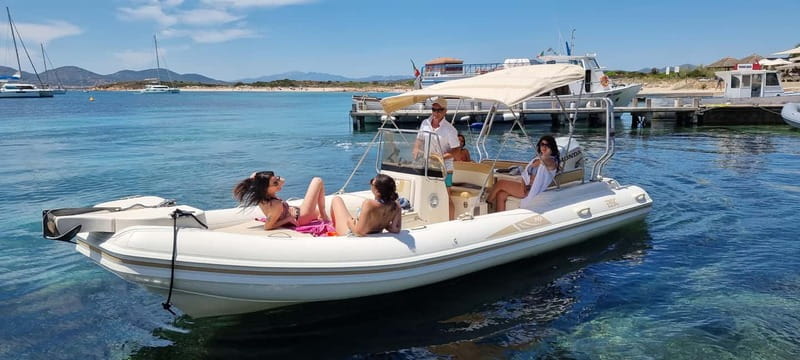 Olbia: Dolphin Watching & Swim and snorkel in Capo Figari - Meeting at MOYS Marina in Olbia