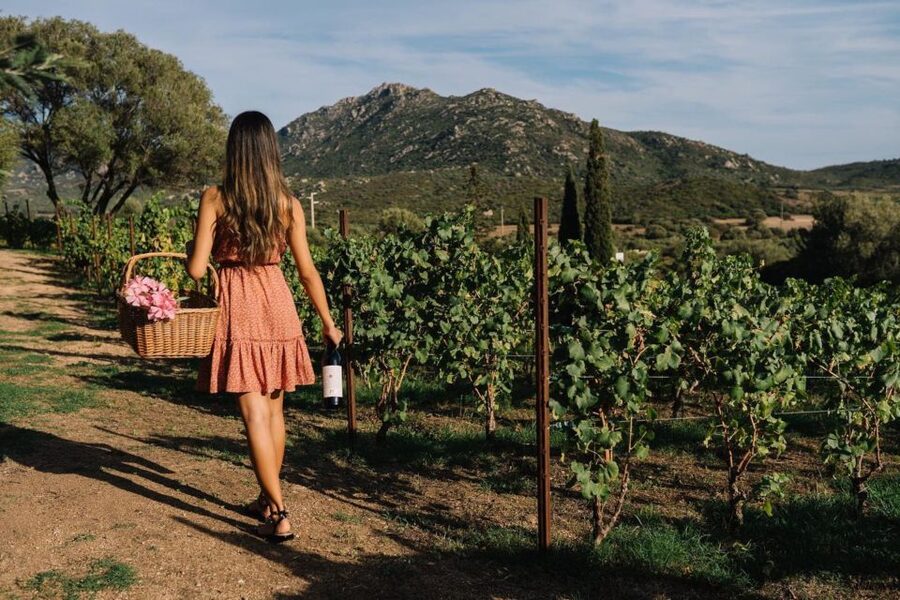 Olbia: Gallura Winery Guided Tour with Tasting - Who should book this visit?