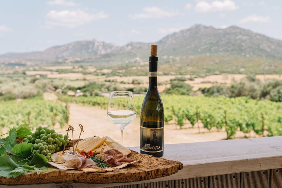 Olbia: Gallura Winery Guided Tour with Tasting - Why this small winery feels different