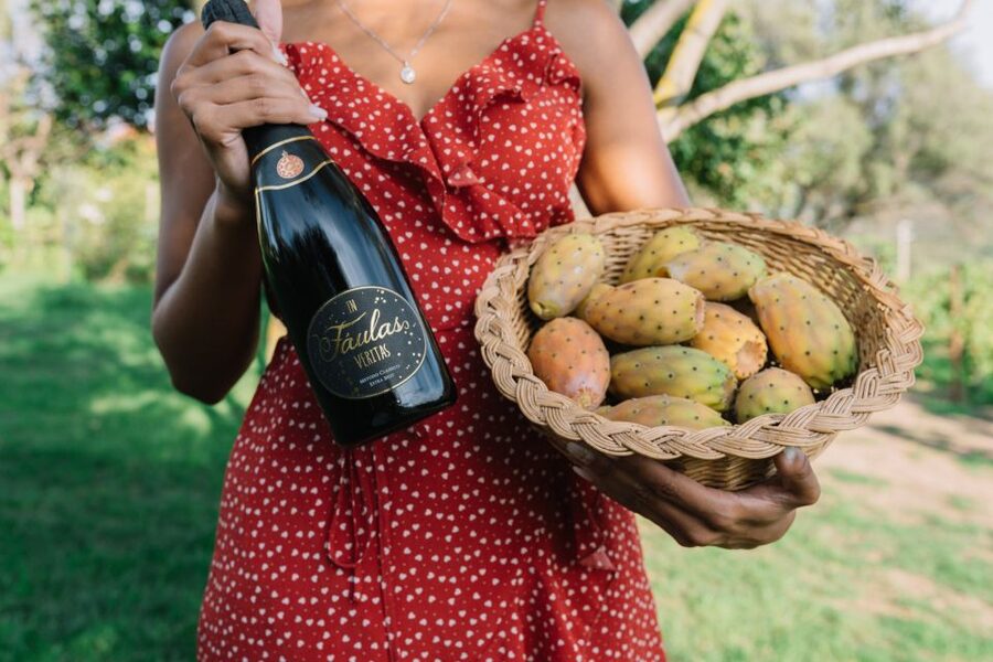 Olbia: Gallura Winery Guided Tour with Tasting - Walking the Gallura grapevines